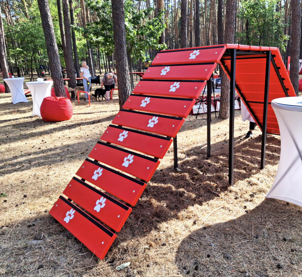 InterAtletika-suchasni-maydanchiki-dlya-vigulu-ta-dresiruvannya-sobak-07