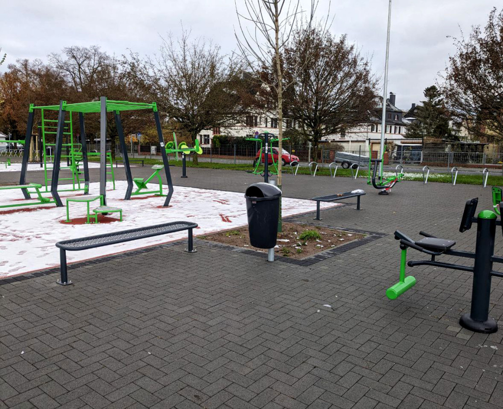 Interatletika-u-frankfurti-nadiynist-ta-efektivnist-vulichnikh-trenuvan-02