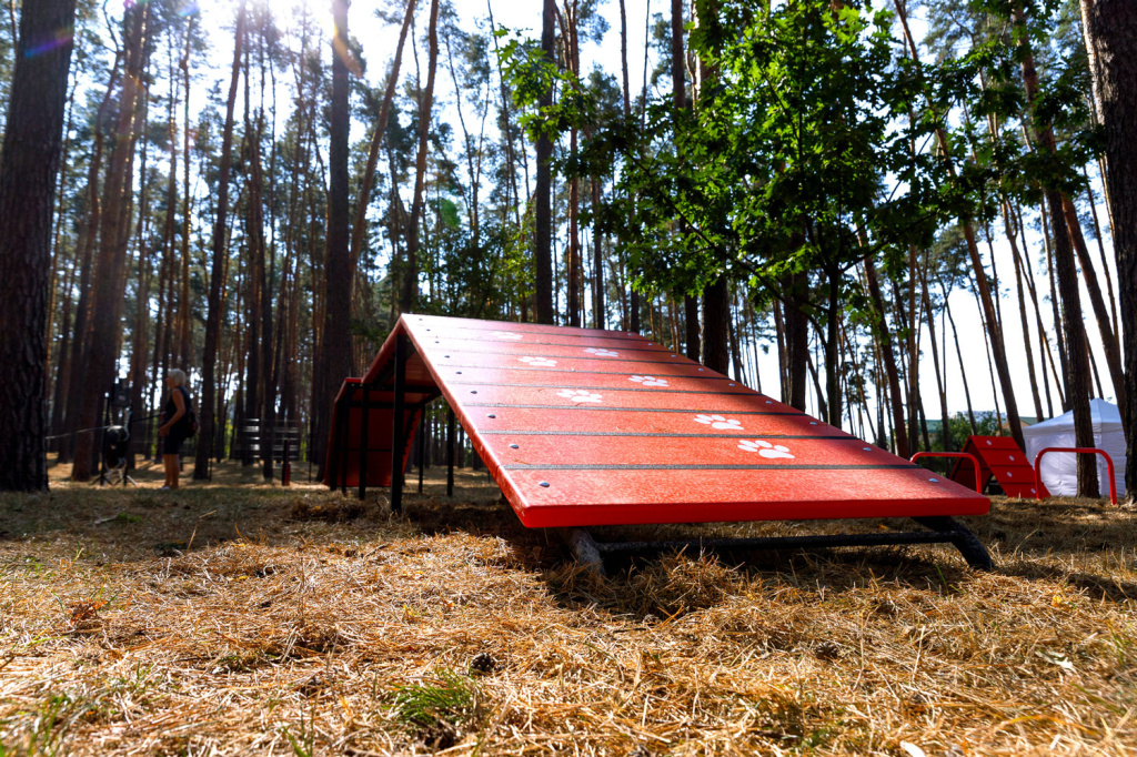 InterAtletika-suchasni-maydanchiki-dlya-vigulu-ta-dresiruvannya-sobak-11