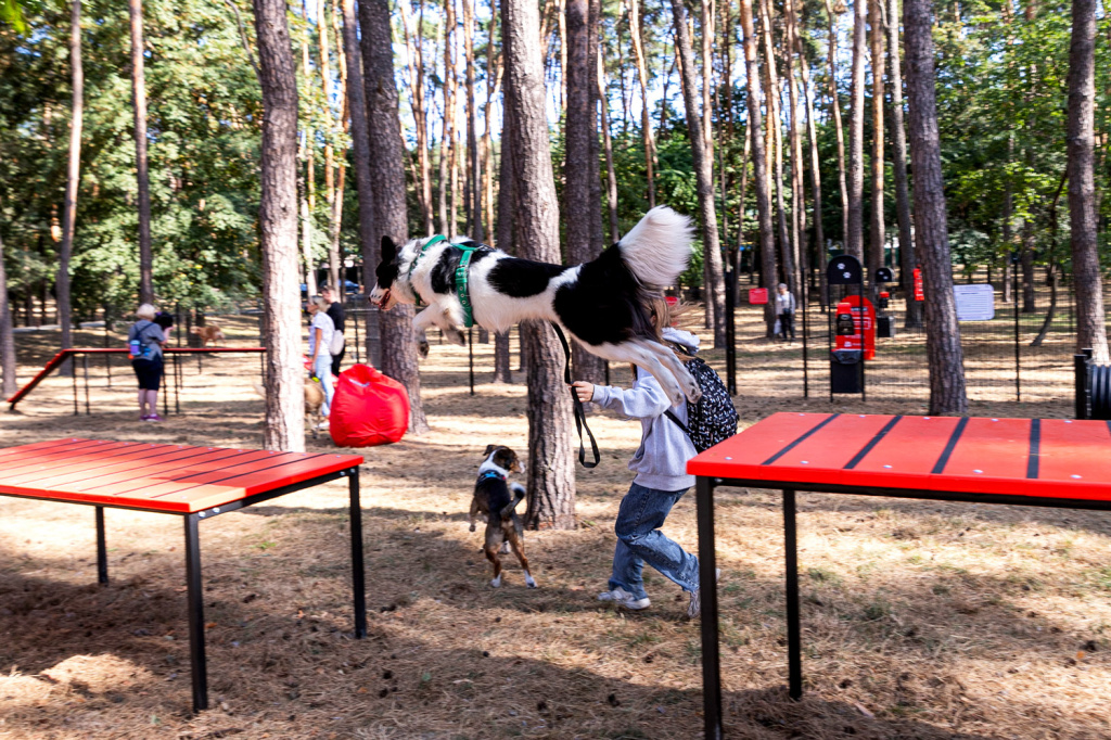 InterAtletika-suchasni-maydanchiki-dlya-vigulu-ta-dresiruvannya-sobak-05