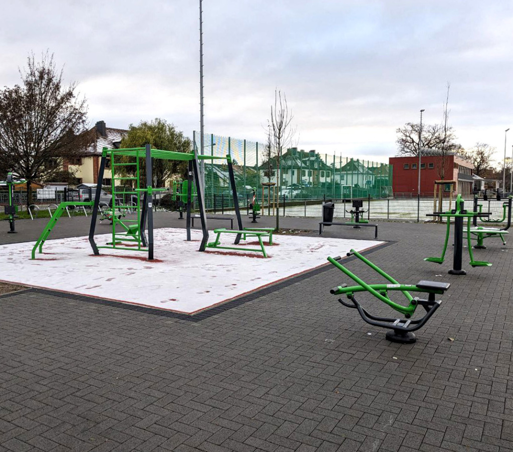 Interatletika-u-frankfurti-nadiynist-ta-efektivnist-vulichnikh-trenuvan-07