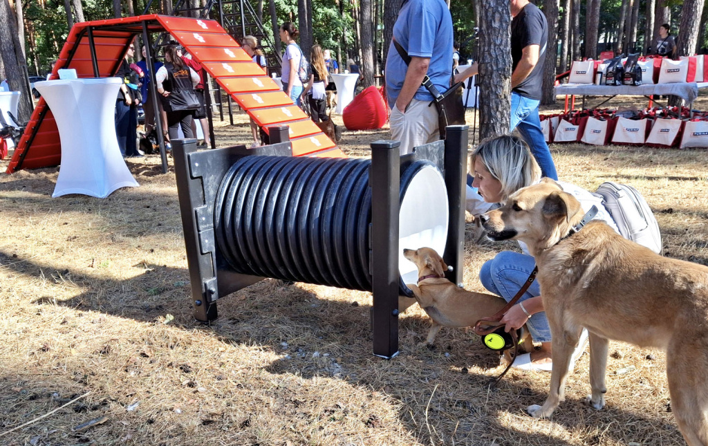 InterAtletika-suchasni-maydanchiki-dlya-vigulu-ta-dresiruvannya-sobak-10
